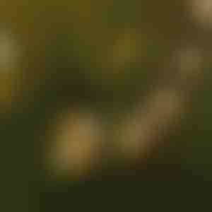 Světelný řetěz s LED žárovkami | YARDBULBS